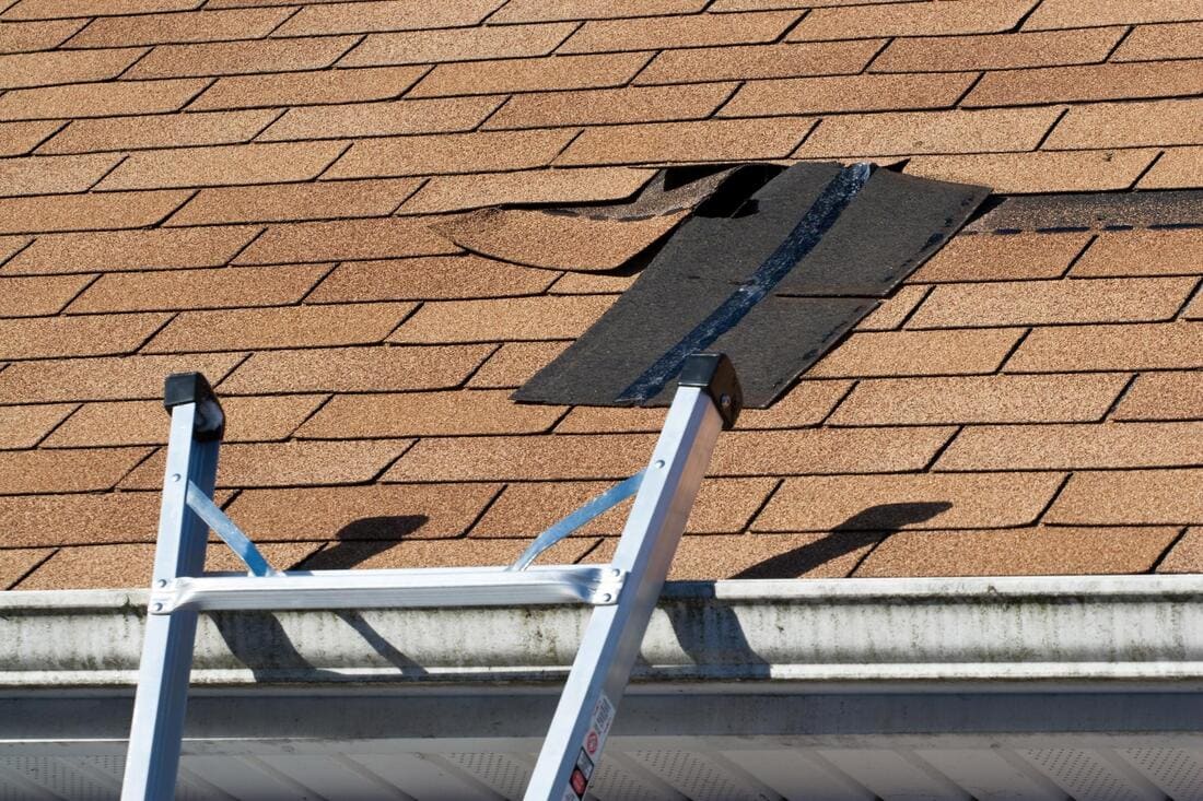 Damaged shingles after a storm